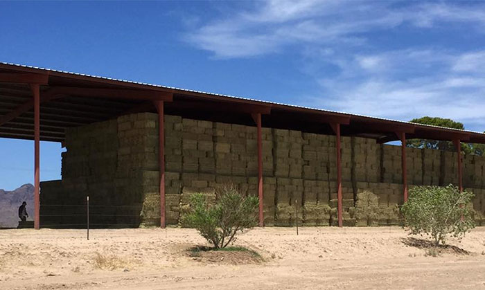 Second Cutting Arizona Alfalfa Hay