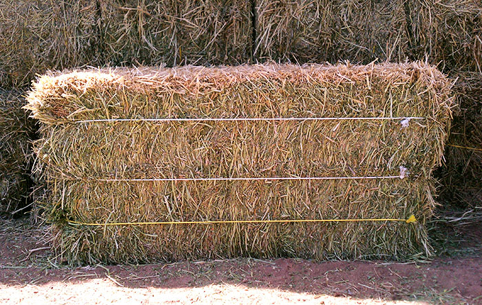 Dairy Quality Bales of Arizona Hay